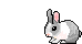 thỏ