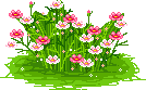 hoa cỏ